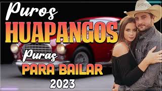 HUAPANGOS Pa BAILAR 2023 ️🎵 huapangos mix 2023 lo mas nuevo ️🎵 cumbias norteñas para bailar mix 2023