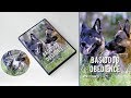 Basic Dog Obedience - Trailer Basic Dog Obedience - Trailer
