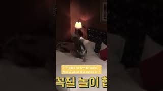 Sana And Nayeon Fails To Scare Momo And Laughs Out