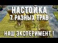 Настойка. Семь разных трав!