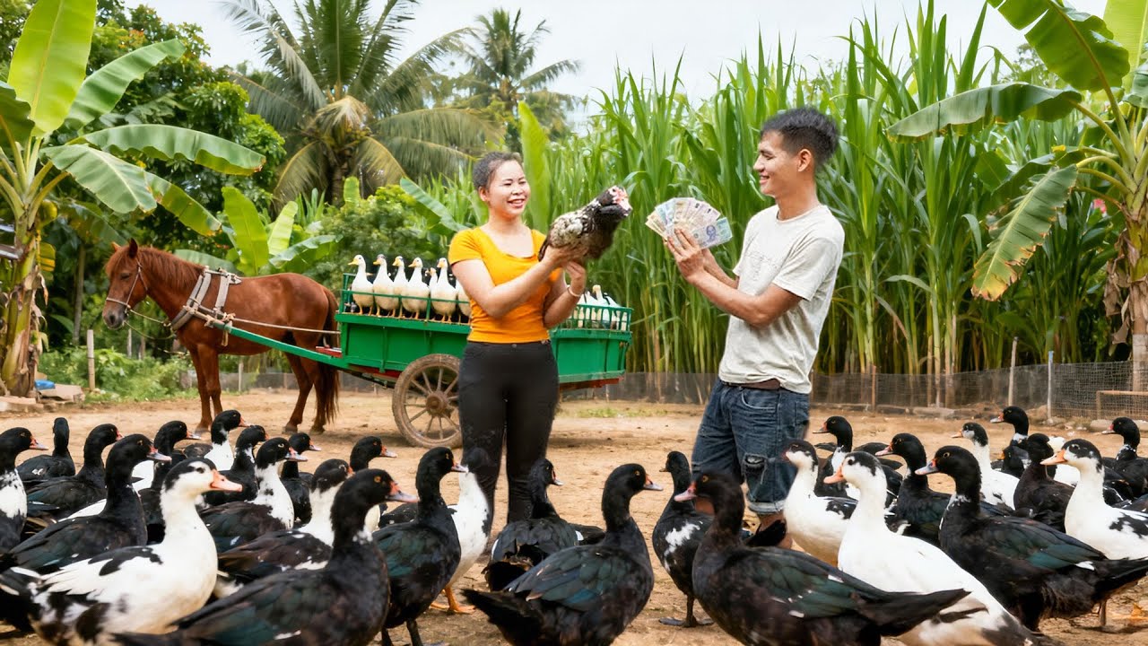 Buying OVER 1000 GIANT Geese From The Farmer (Horse Cart Transport) - Cooking Rare Goose Egg