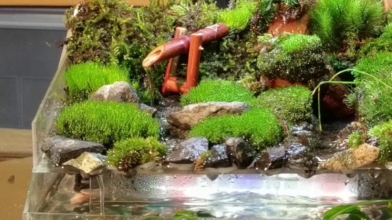 自作水槽で苔テラリウム 日本庭園風 Youtube