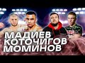 Все о главных боях для карьеры Мадиева, Моминова и Коточигова
