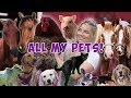 MEET ALL MY PETS!! | 59 Pets!
