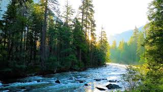 Musica rilassante e Tranquillo Fiume: Bellissimo Pianoforte, i Suoni della Natura, il Sonno la Musi