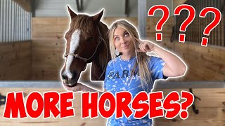 Getting MORE HORSES?! How much the barn cost, Barn routine & MUCH MORE! Q&A