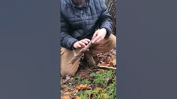 Make A Fire In Wet Conditions 