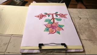 Performance task in MIL (vlog) 