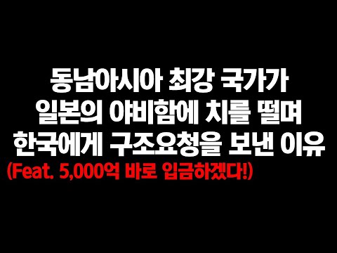 동남아 최강의 맹주 인도네시아가 일본 야비하다며 한국에게 5,000억을 내는 이유