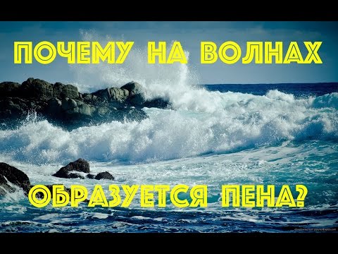 Видео: Откуда берется морская пена?