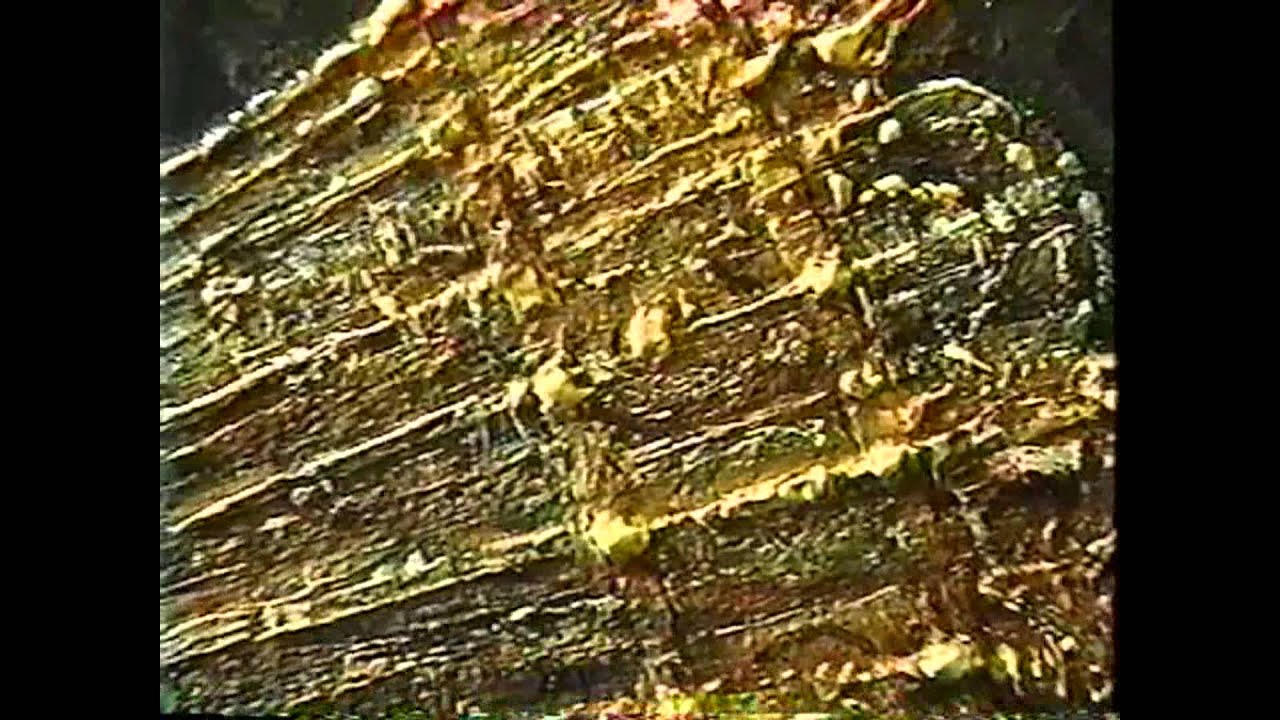 Rembrandt and His Paints