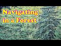 This is how to navigate in a forest  forest navigation done correctly