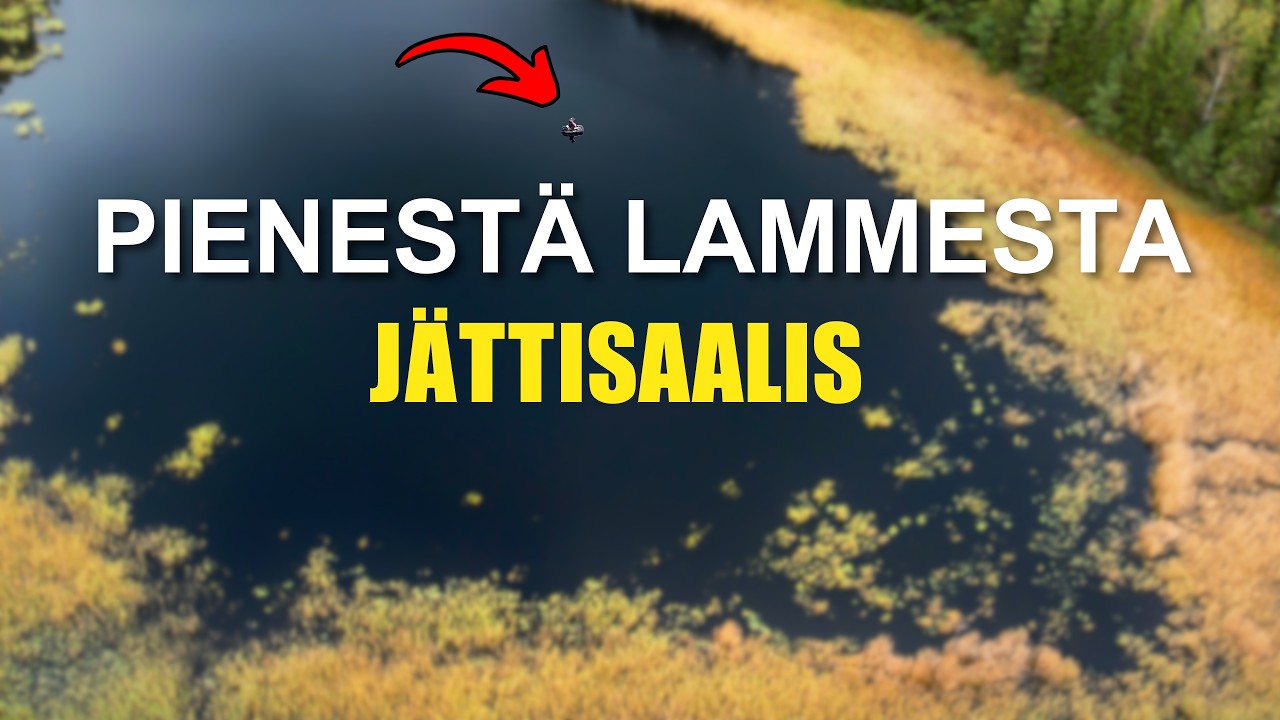 TUTKIMASSA UUTTA AHVENLAMPARETTA, JOKA YLLÄTTI MUT TOTAALISESTI (Suurkala)