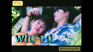 ♔ WhyRU // Thailand BL  ♔ ❣️ Mabel Matiz // Aşk Yok Olmaktır // Thailand Drama // Thailand Clip