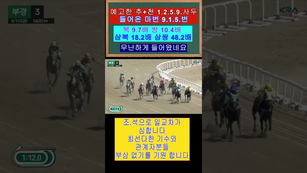 1퀸더골드 손경민 기수 2등 이지만 잘타고 들어왔네요