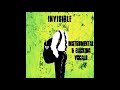 Invisible // Official Instrumental and Backing Vocals // 5SOS