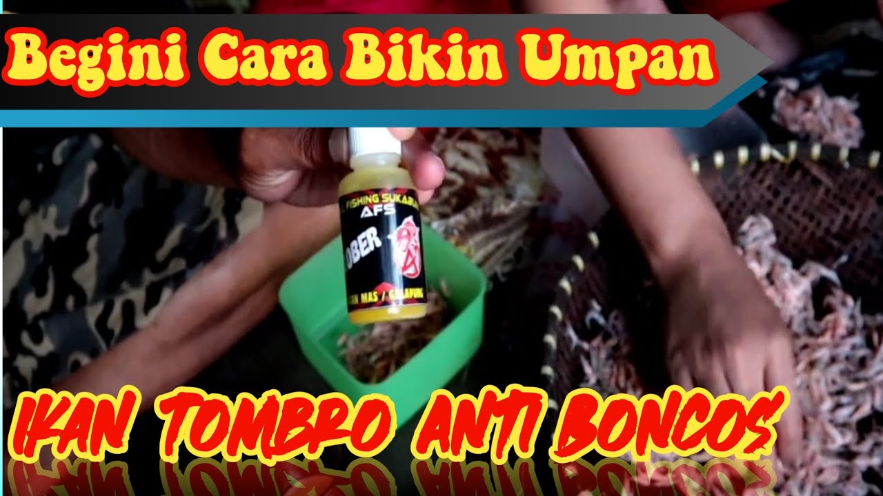 Rahasia Umpan Ikan Mas(Tombro) |Begini Cara Bikin Umpan Ikan Tombro