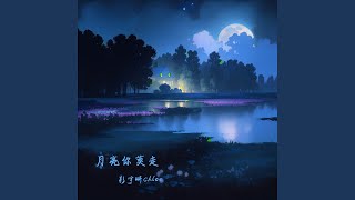 Download Lagu 月亮你莫走