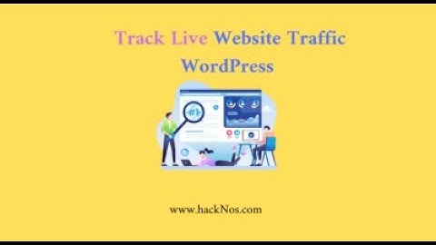 Track Live Traffic WordPress Website 2021   Live Website Traffic Check #Hacknos
