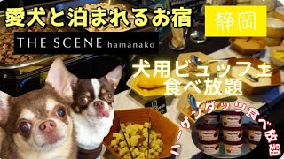 【THE SCENE hamanako】ホテルの施設・お部屋・ドッグラン・食事・周辺情報全てご紹介【ドッグファーストな最強ホテル】