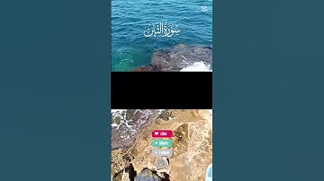 تلاوة خاشعة جدا لي سورة التين #التين #الزيتون # #allah #quran #المصحف #القرآن_الكريم #الرحمن