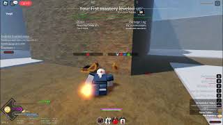 Roblox exploiter (report for project slayers)