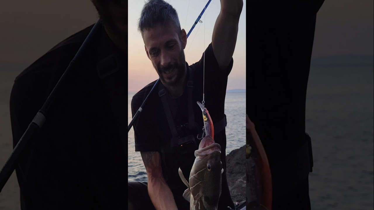 Το Σφυριδάκι και το Rushbait! Μια ιστορία αγάπης...😂
