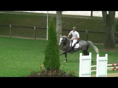 ♂ Padock du Plessis- jumping stallion (SFA) by Kannan