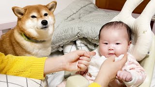 Dog and Baby Living Together VLOG