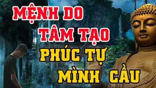 Phật Pháp Hằng Ngày