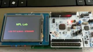 Stemwin demo