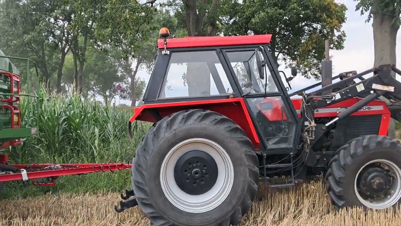 Żniwa 2025 pszenica ozima claas Dominator 38