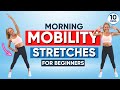 Morning mobility stretches for beginners    10 minutes kickstart your day
