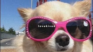 彡 enhypen - shout out (sped up)