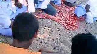 Bedouine Chess - Sheeza ...