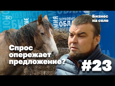 Почем лошадиные силы для народа? | Бизнес на селе #23