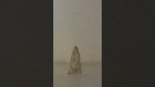 More claymations