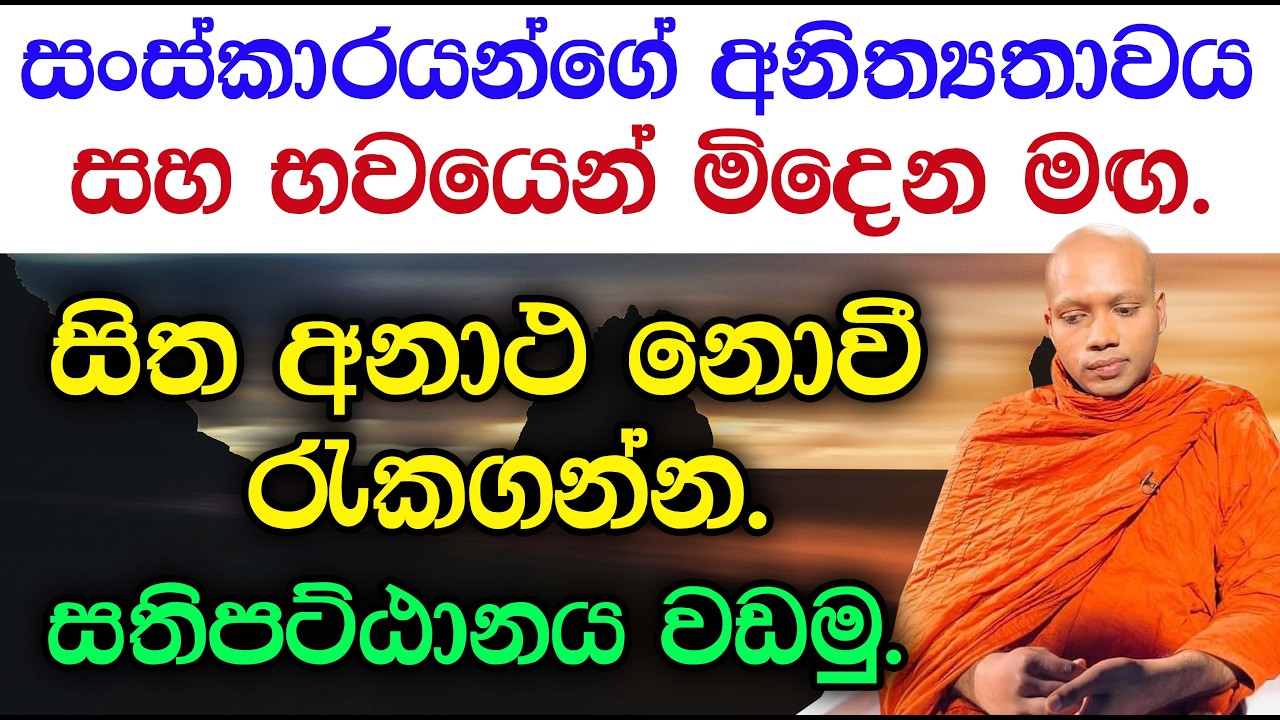 සිත අනාථ නොවී රැකගන්න සතිපට්ඨානය වඩමු | Hasalaka Seelawimala Thero | EP H 64