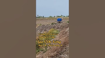 Cần bán 8 mẫu đất giá 120tr 1 công đất thuộc huyện Mộc Hóa tỉnh Long An lh 0816556639 #batdongsan