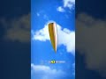 What happens if you shoot a bullet straight into the air