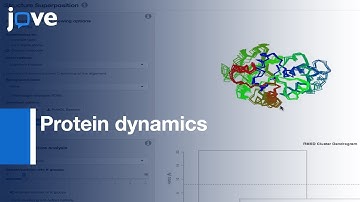 Protein dynamics Relationships Investigation with Bio3D-web | Protocol Preview