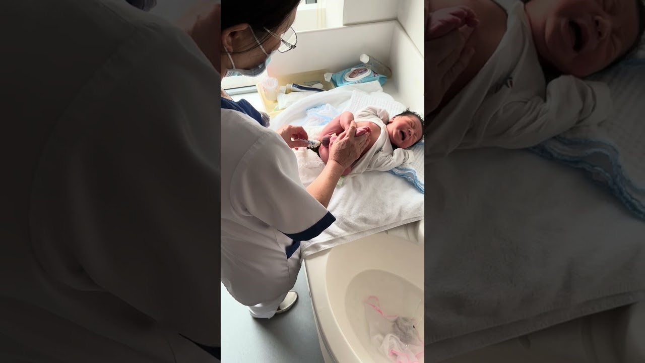 How To Make Banana Cat Baby Born Brith 22/4/2023 - 23/4/2023