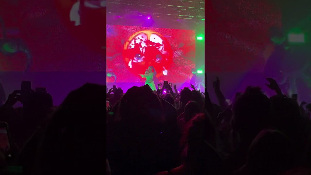 Ashnikko ft Baby Tate Stupid live Los Angeles (Demidevil Tour) YouTube