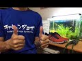 本日よりエントリー開始！第3回チャレンジョイマラソン