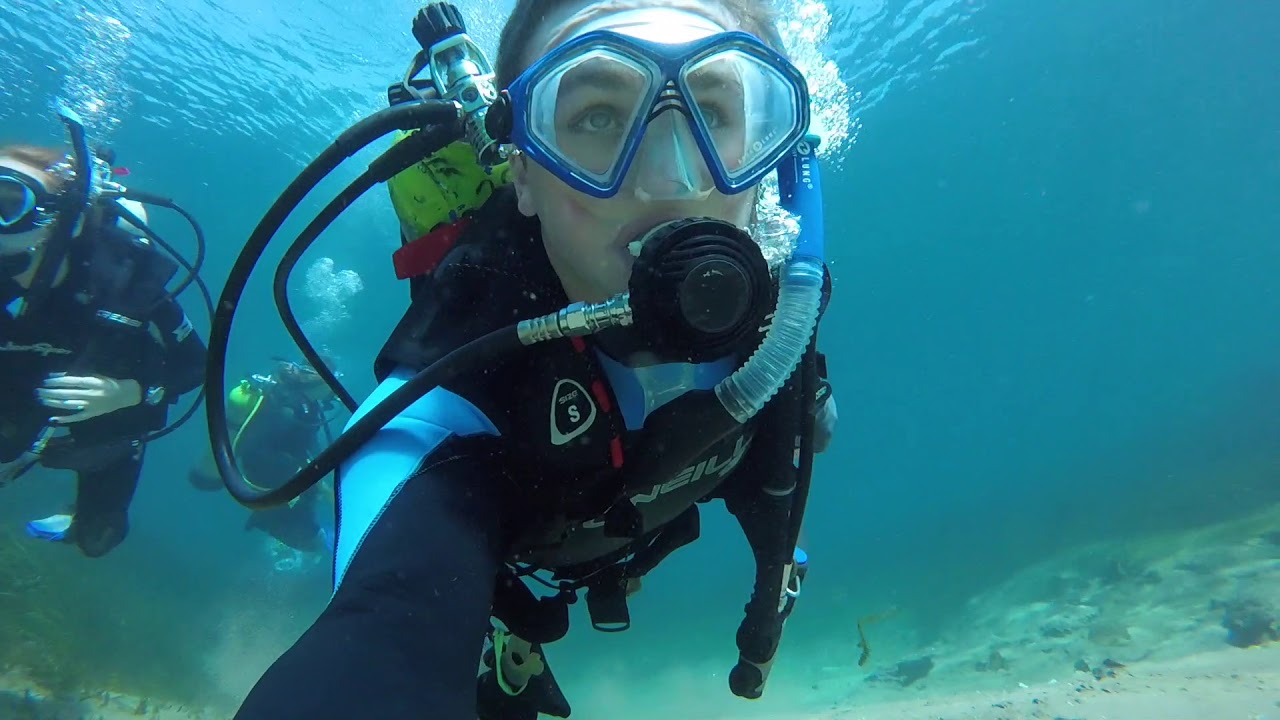 Rainbow River Florida Scuba Diving YouTube