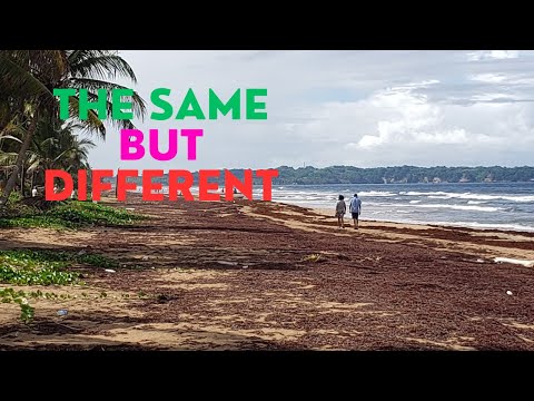 Back to Mayaro