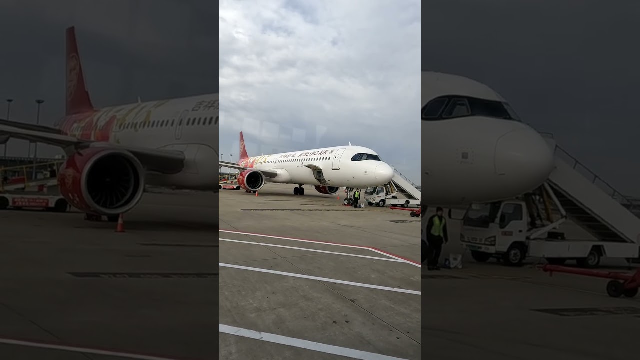 希臘飛上海，再從上海轉機回台北，喝了藍瓶咖啡及霸王茶姬