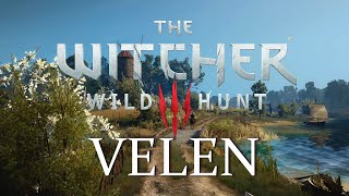 Witcher 3 - Velen - Day Ambience & Music