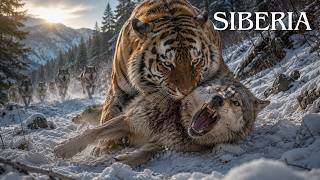 SIBERIA EXTREMA | Sobrevivir en el Frío Más Hostil | Documental Animal