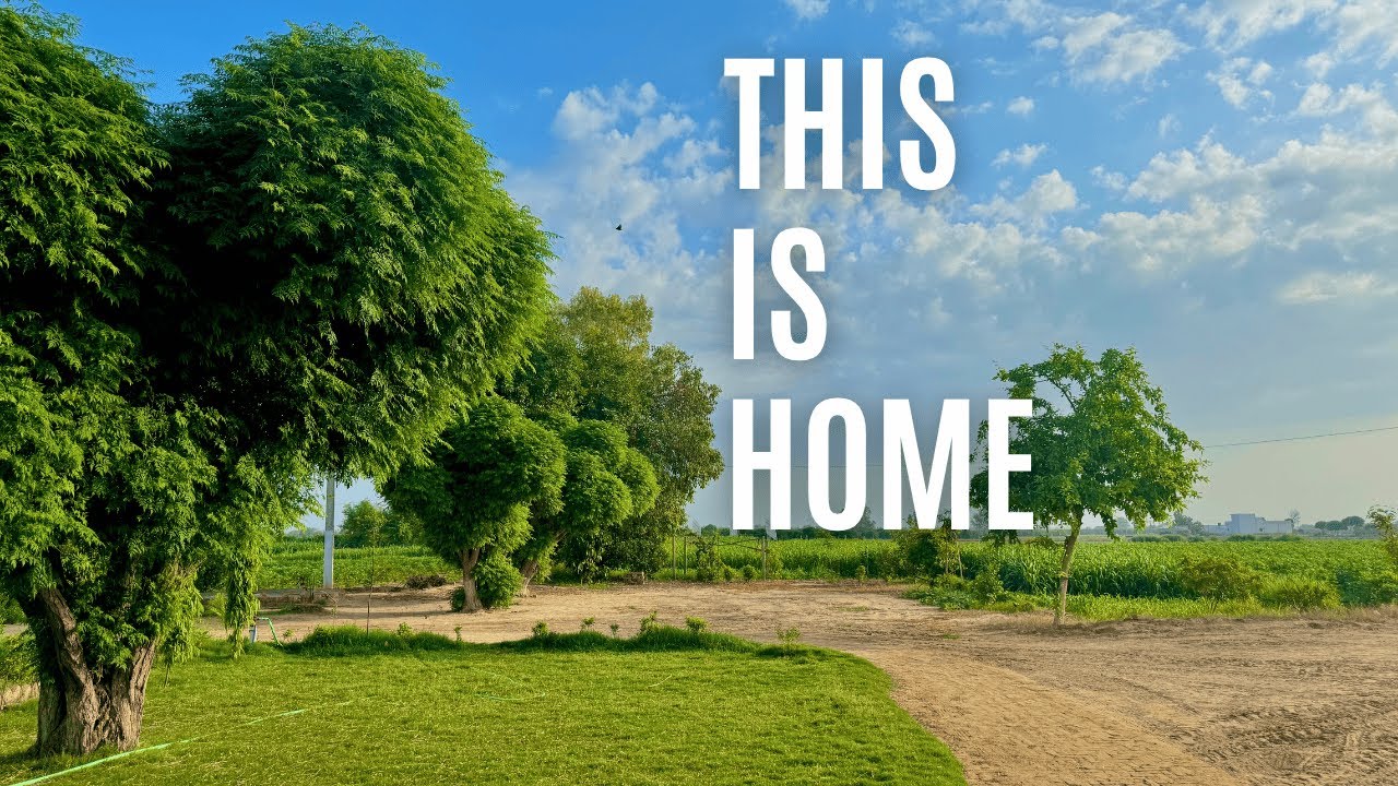 Yeh Hai Mera Ghar | Desi Life in Rajasthan | Subhash Beniwal Diaries